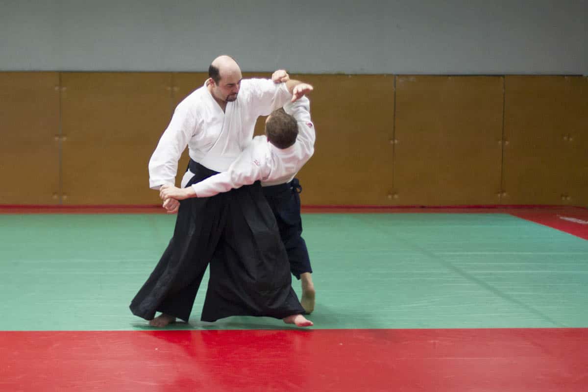 Stage -Aikido-Lyonnais-2014-01-Juges-Enseignants-14