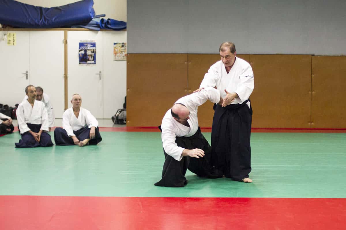 Stage -Aikido-Lyonnais-2014-01-Juges-Enseignants-15