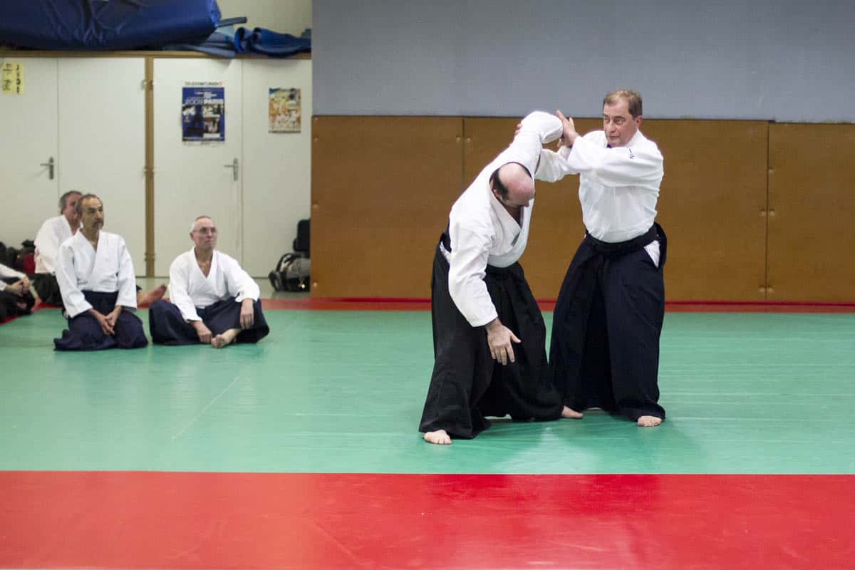 Stage -Aikido-Lyonnais-2014-01-Juges-Enseignants-16