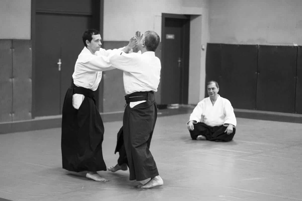 Stage -Aikido-Lyonnais-2014-01-Juges-Enseignants-31