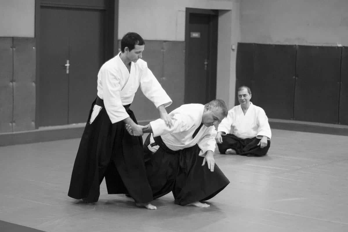 Stage -Aikido-Lyonnais-2014-01-Juges-Enseignants-32