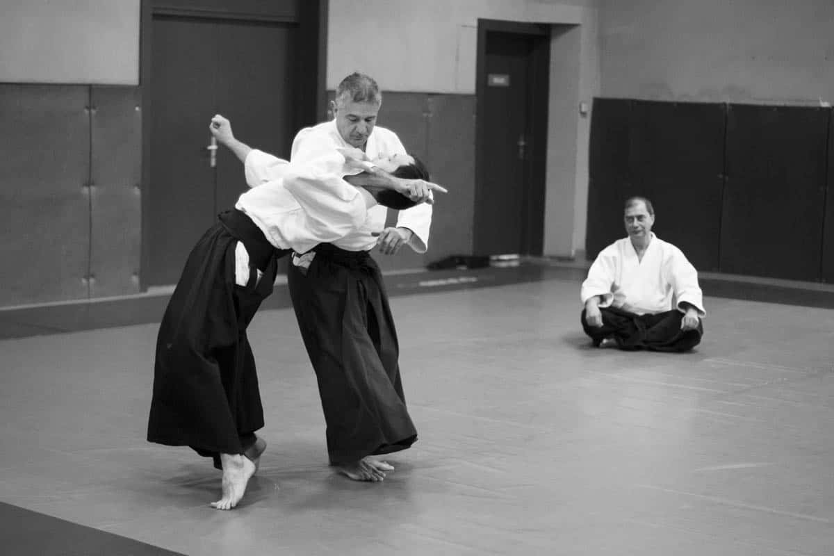 Stage -Aikido-Lyonnais-2014-01-Juges-Enseignants-34