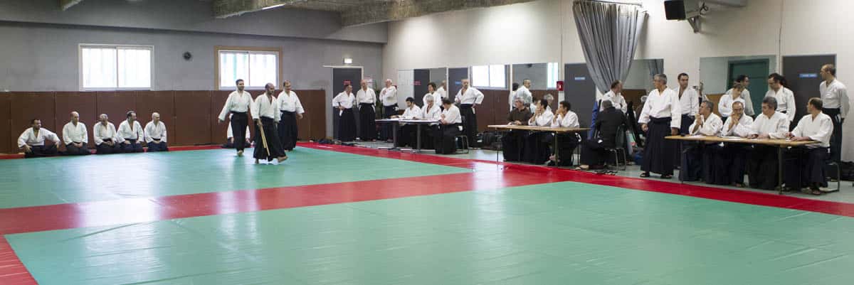 Stage -Aikido-Lyonnais-2014-01-Juges-Enseignants-38