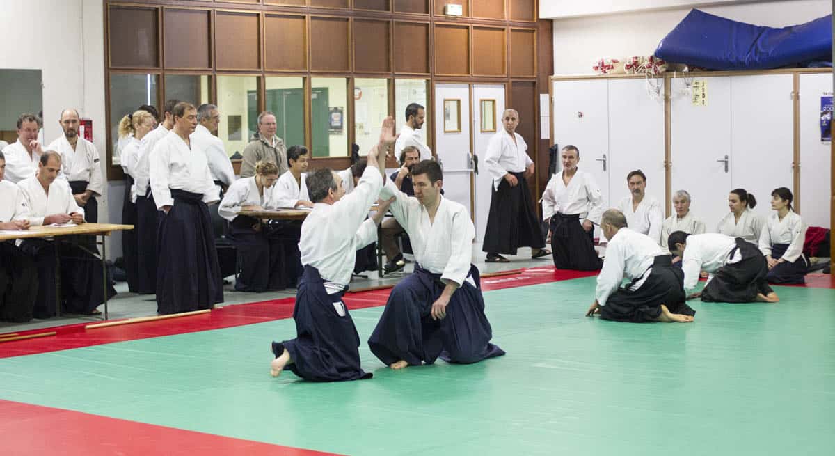 Stage -Aikido-Lyonnais-2014-01-Juges-Enseignants-39