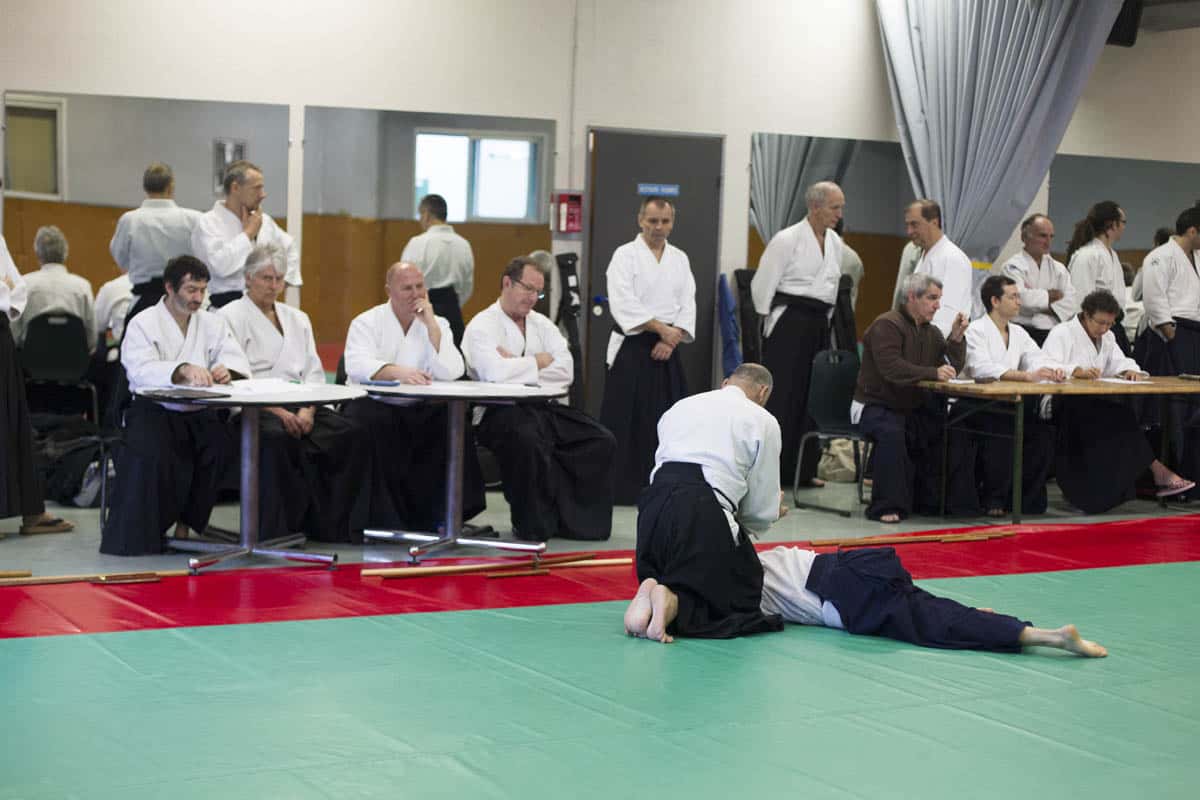 Stage -Aikido-Lyonnais-2014-01-Juges-Enseignants-41