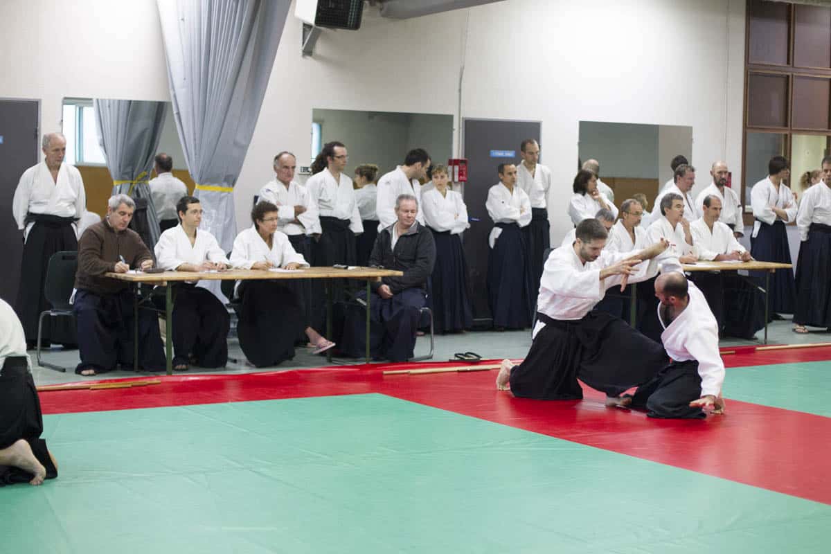 Stage -Aikido-Lyonnais-2014-01-Juges-Enseignants-42