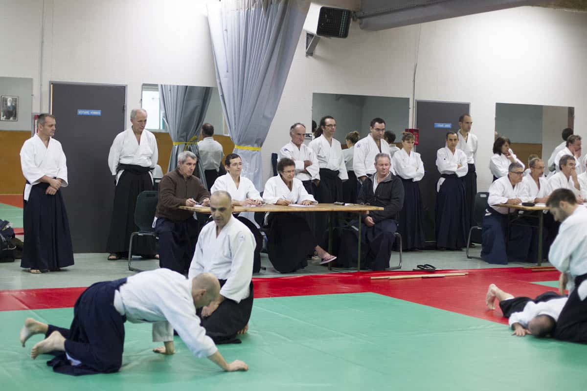 Stage -Aikido-Lyonnais-2014-01-Juges-Enseignants-43