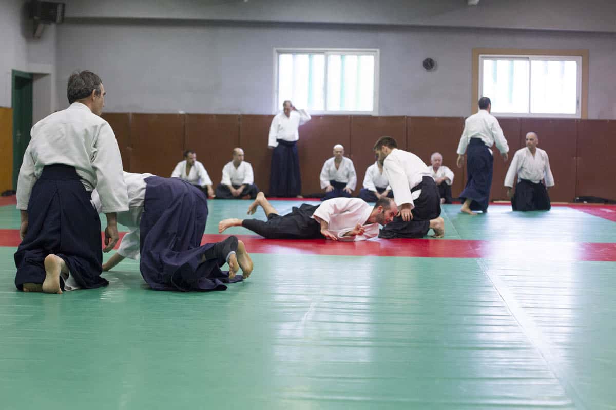 Stage -Aikido-Lyonnais-2014-01-Juges-Enseignants-46