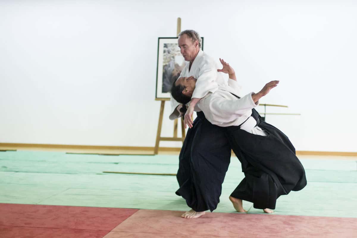 Stage -Aikido-Lyonnais-2014-04-Prepa-3-4 DAN-26