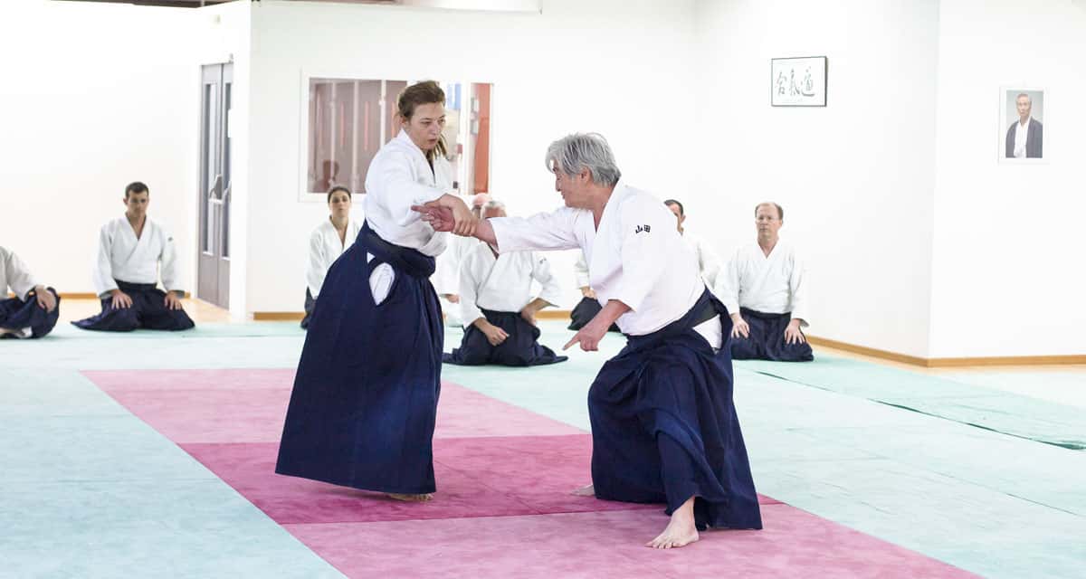 Stage-Aikido-Lyonnais-2014-06-24-Yamada-Sensei-06