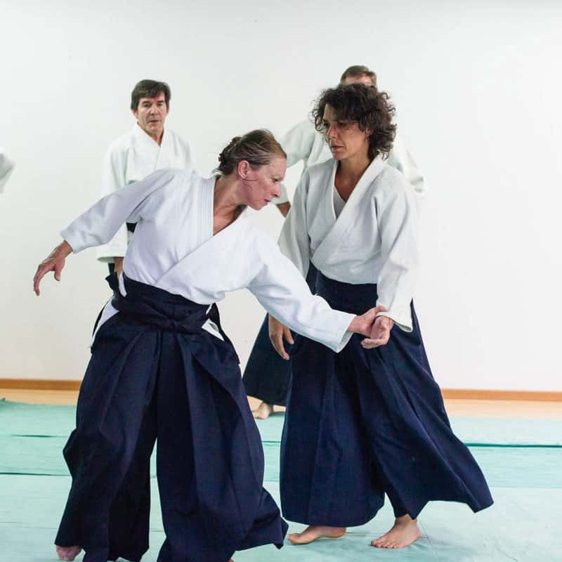 Stage-Aikido-Lyonnais-2014-06-24-Yamada-Sensei-08