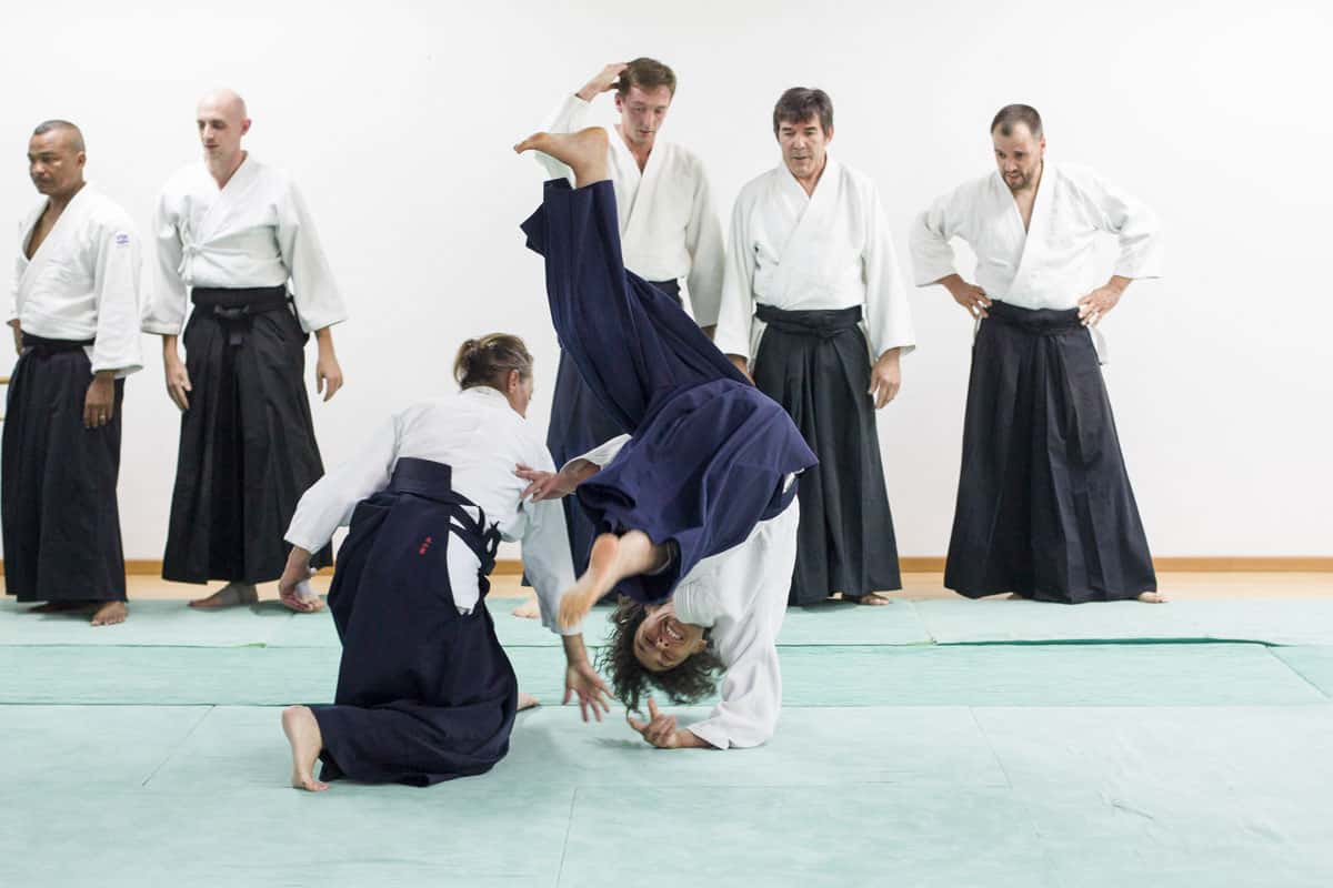 Stage-Aikido-Lyonnais-2014-06-24-Yamada-Sensei-10