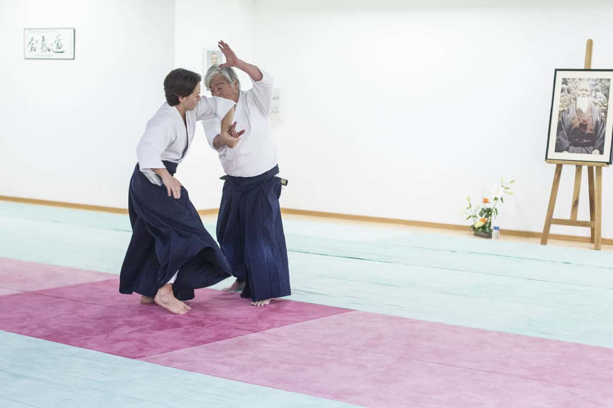 Stage-Aikido-Lyonnais-2014-06-25-Yamada Sensei-12