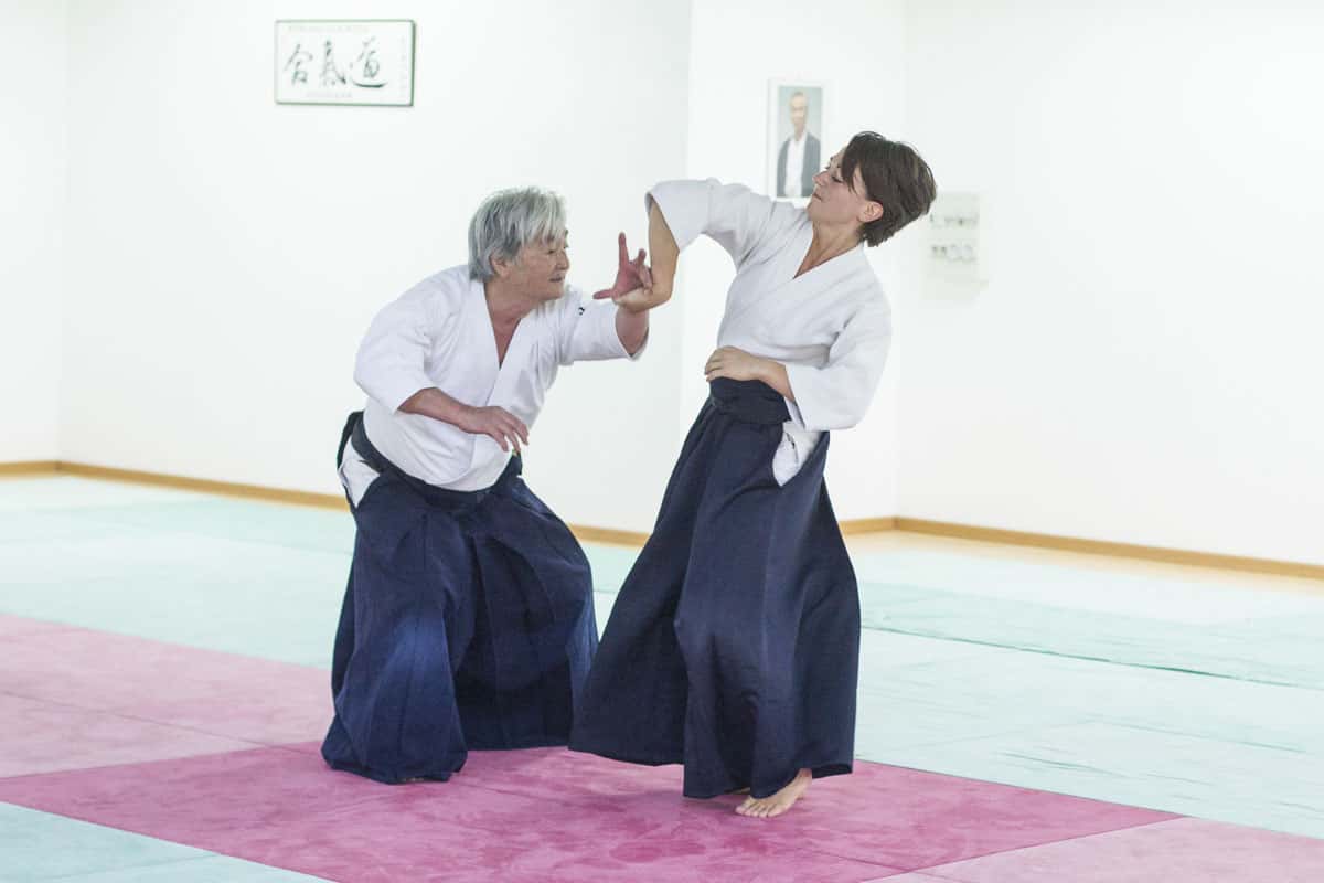 Stage-Aikido-Lyonnais-2014-06-25-Yamada Sensei-13