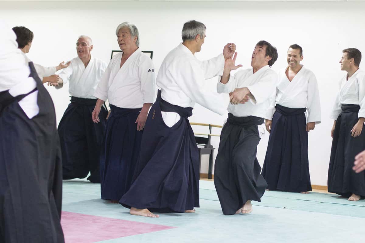 Stage-Aikido-Lyonnais-2014-06-25-Yamada Sensei-15