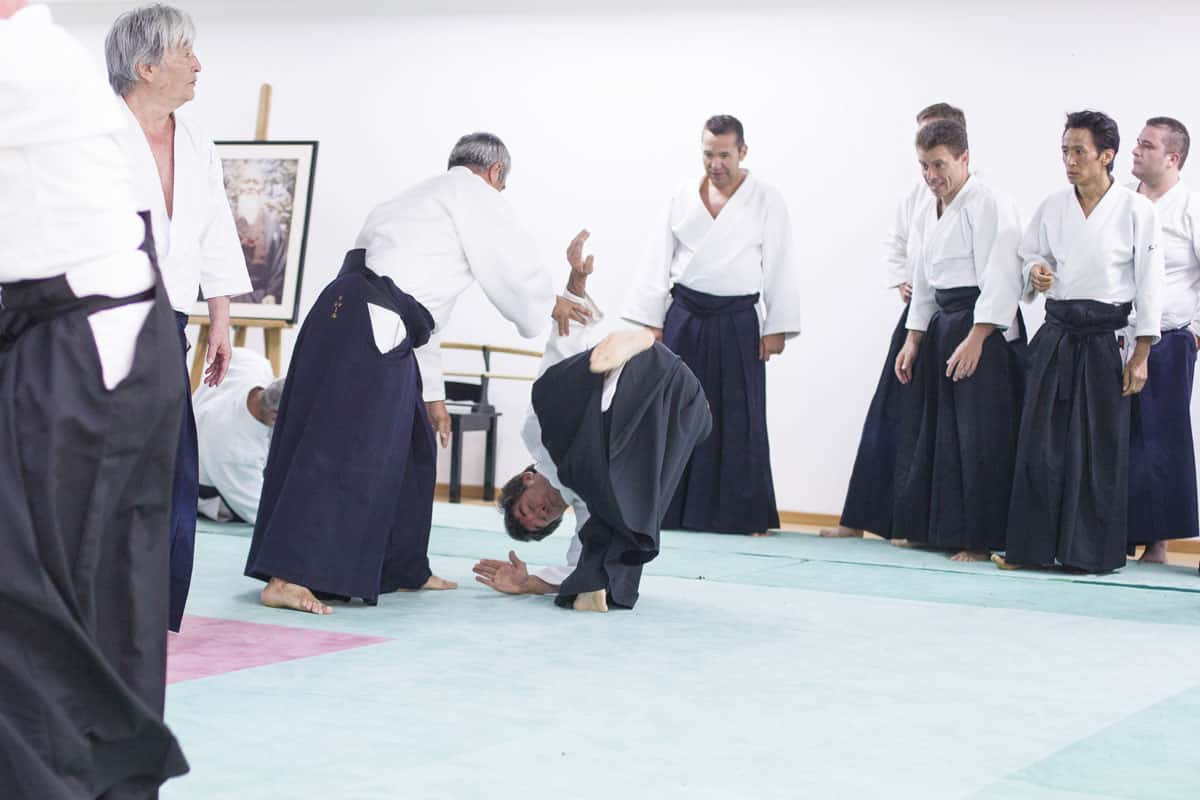 Stage-Aikido-Lyonnais-2014-06-25-Yamada Sensei-16