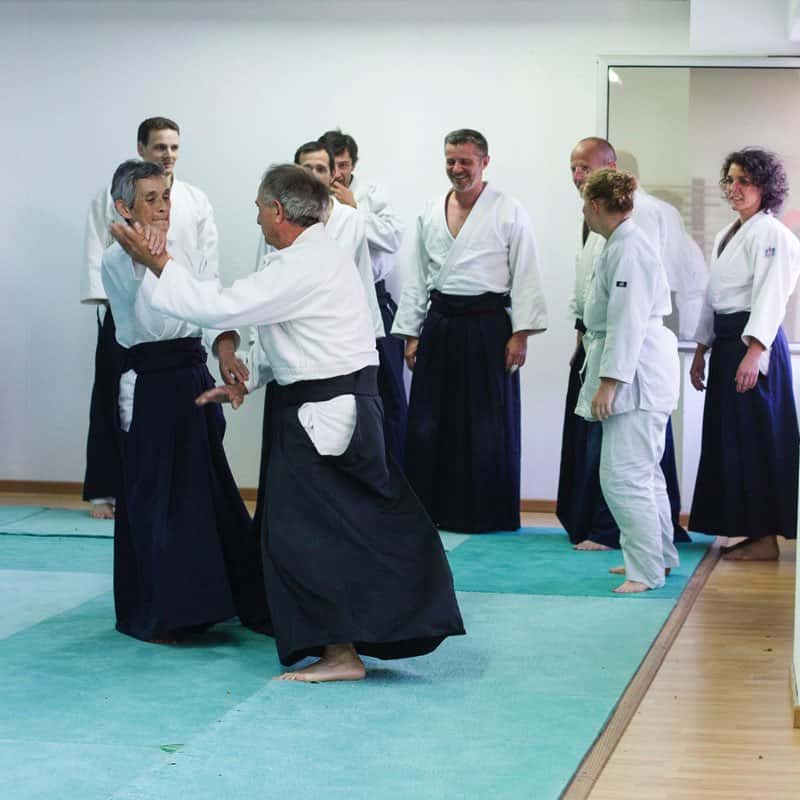 Stage-Aikido-Lyonnais-2014-06-25-Yamada Sensei-17