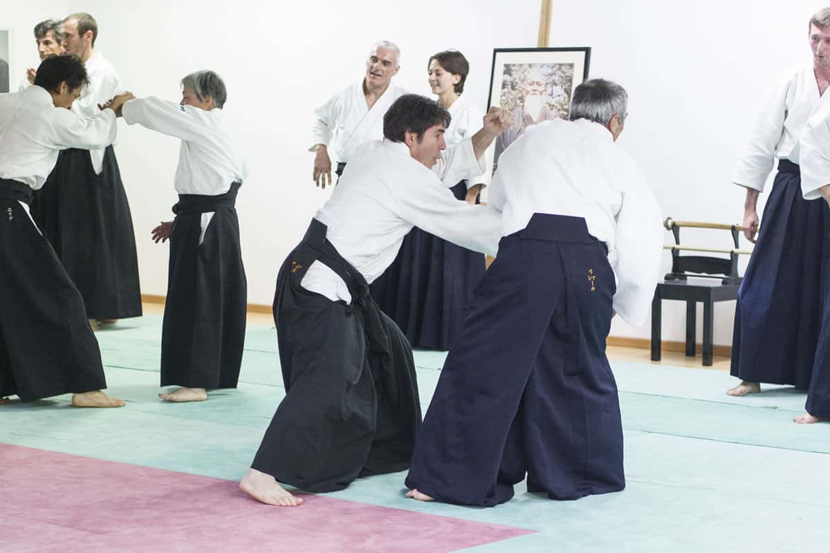 Stage-Aikido-Lyonnais-2014-06-25-Yamada Sensei-18