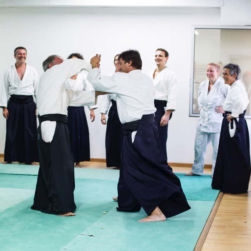 Stage-Aikido-Lyonnais-2014-06-25-Yamada Sensei-21