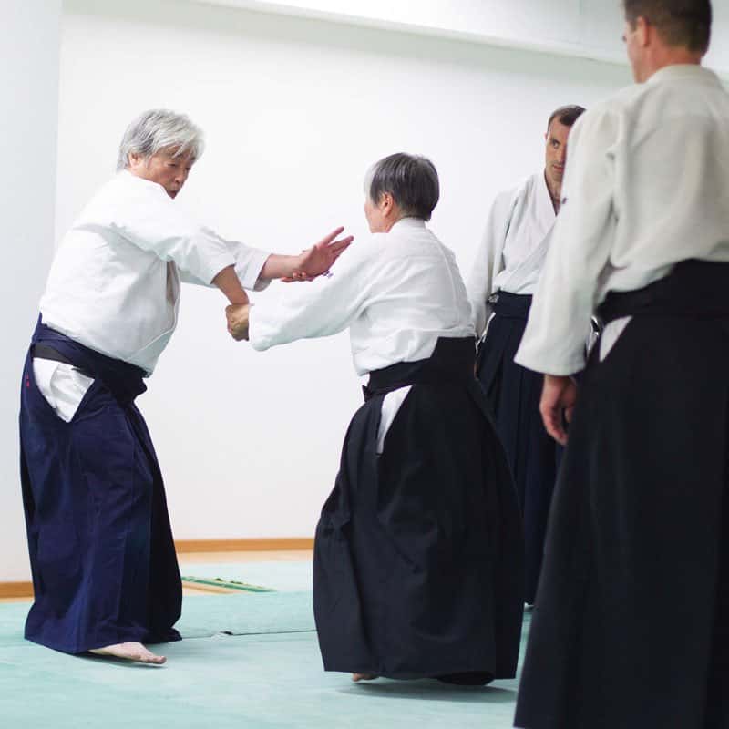 Stage-Aikido-Lyonnais-2014-06-25-Yamada Sensei-27