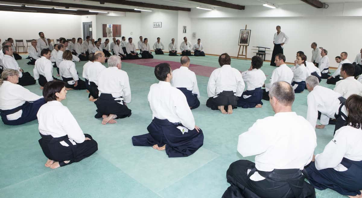 EDC-Aikido-Lyonnais-2014-11-Ecole-Des-Cadres-Formation-continue-01