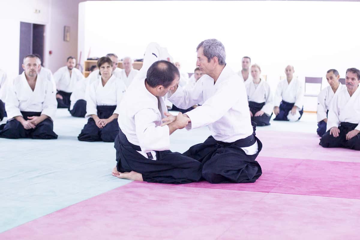 EDC-Aikido-Lyonnais-2014-11-Ecole-Des-Cadres-Formation-continue-02