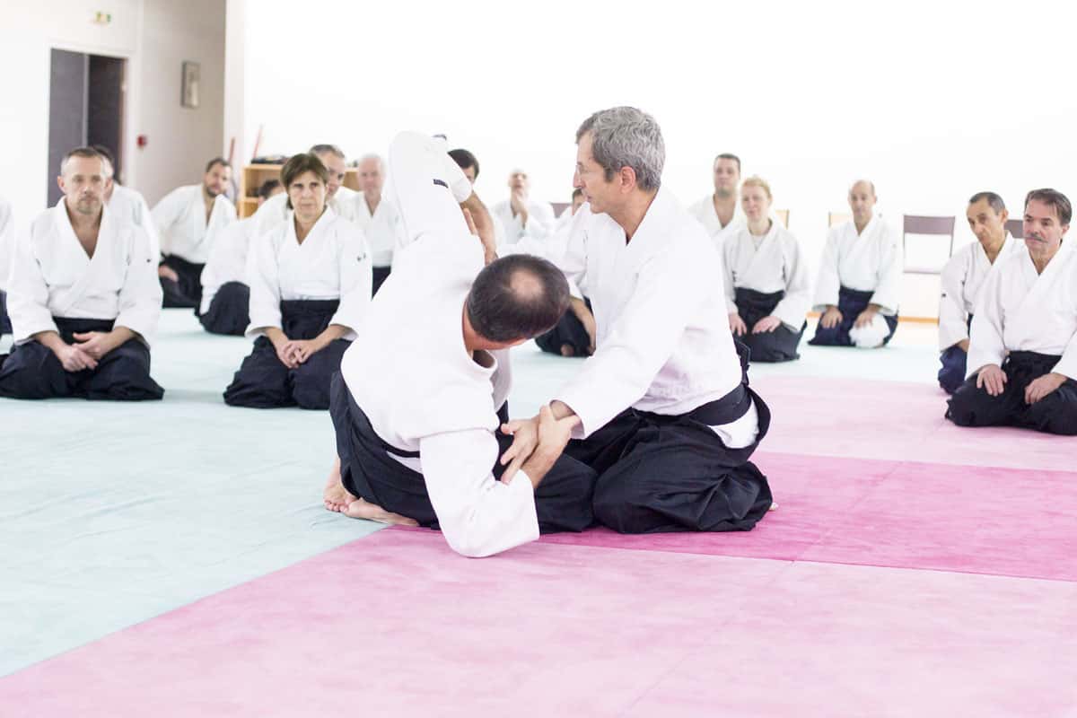 EDC-Aikido-Lyonnais-2014-11-Ecole-Des-Cadres-Formation-continue-03