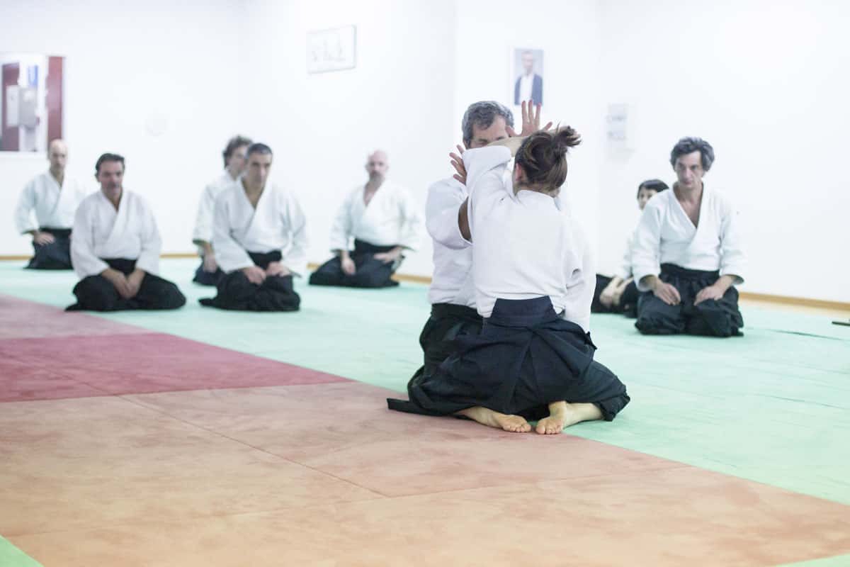EDC-Aikido-Lyonnais-2014-11-Ecole-Des-Cadres-Formation-continue-04