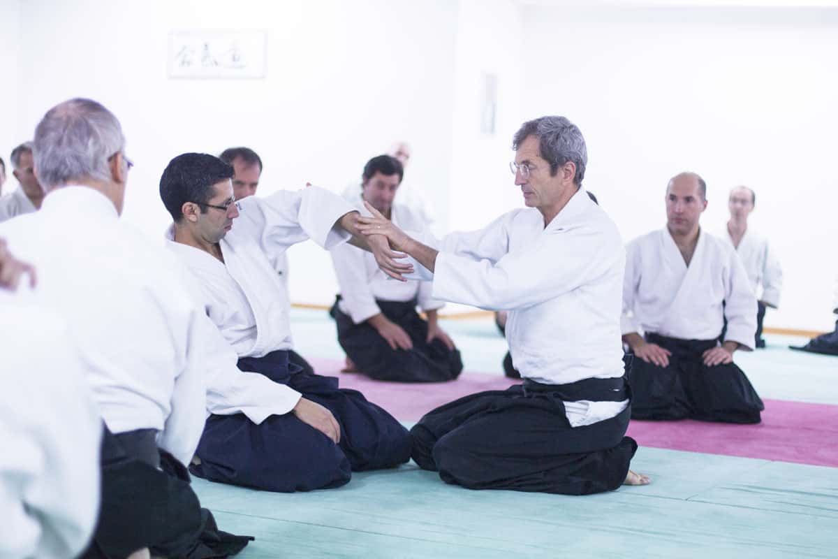 EDC-Aikido-Lyonnais-2014-11-Ecole-Des-Cadres-Formation-continue-06