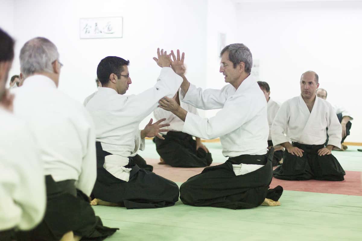 EDC-Aikido-Lyonnais-2014-11-Ecole-Des-Cadres-Formation-continue-07