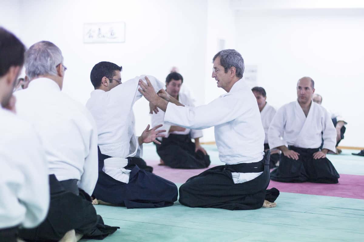 EDC-Aikido-Lyonnais-2014-11-Ecole-Des-Cadres-Formation-continue-08