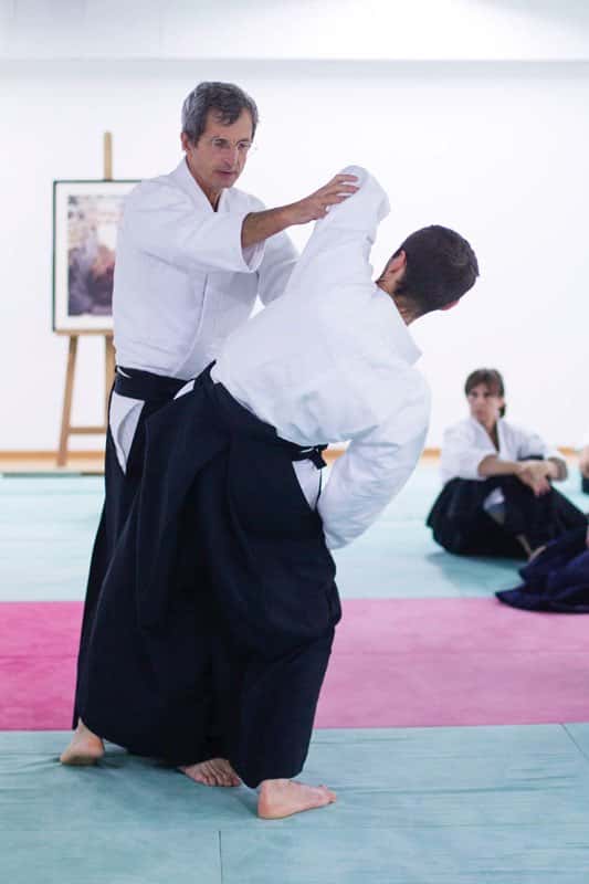 EDC-Aikido-Lyonnais-2014-11-Ecole-Des-Cadres-Formation-continue-09