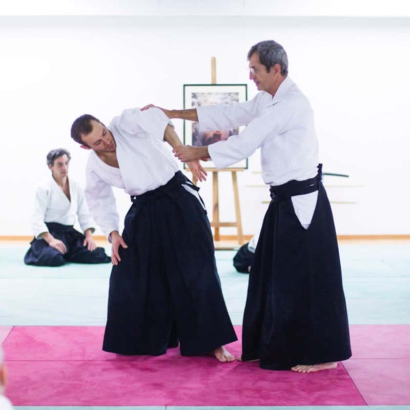 EDC-Aikido-Lyonnais-2014-11-Ecole-Des-Cadres-Formation-continue-10