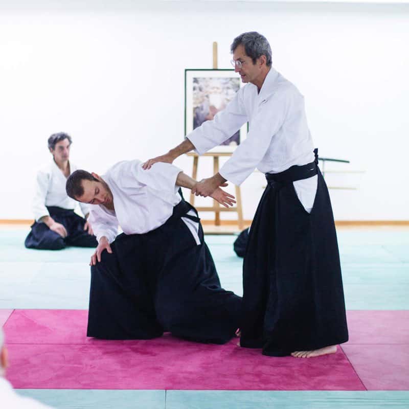EDC-Aikido-Lyonnais-2014-11-Ecole-Des-Cadres-Formation-continue-11
