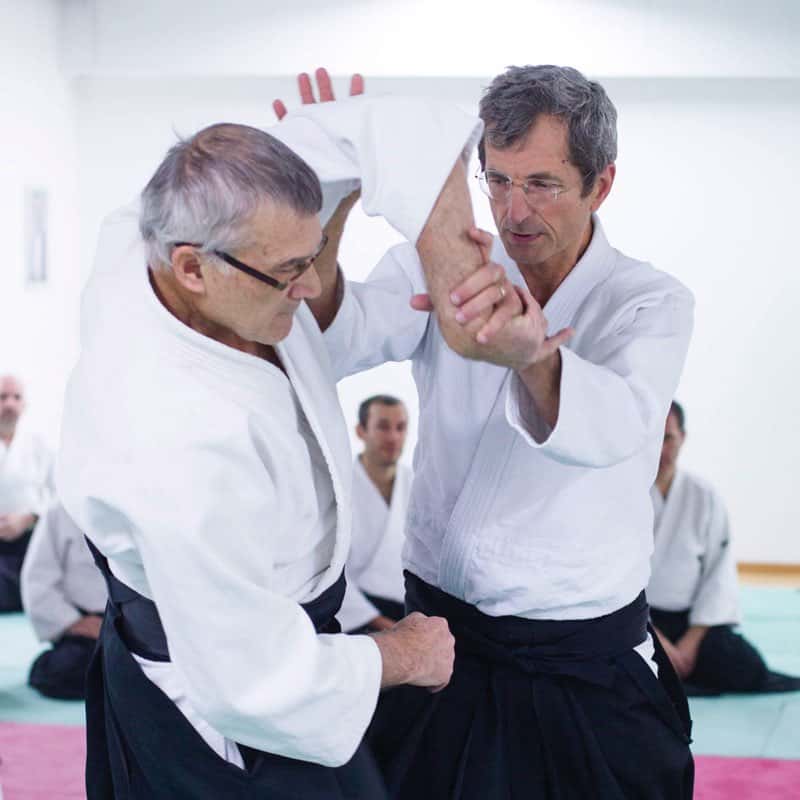 EDC-Aikido-Lyonnais-2014-11-Ecole-Des-Cadres-Formation-continue-12