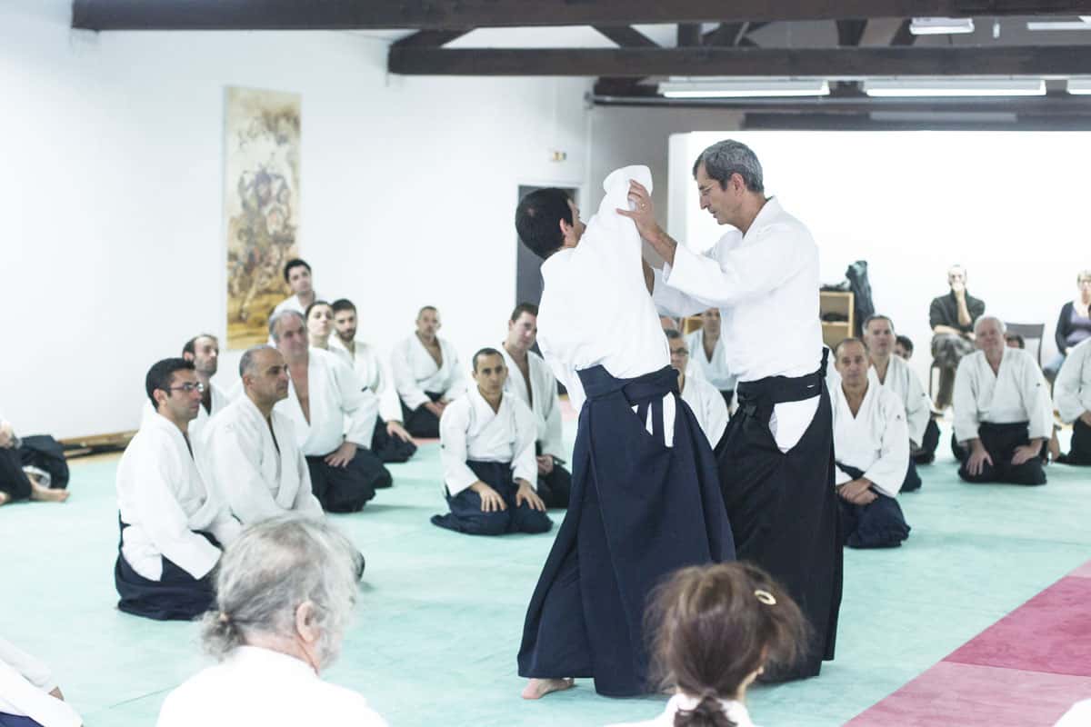 EDC-Aikido-Lyonnais-2014-11-Ecole-Des-Cadres-Formation-continue-13