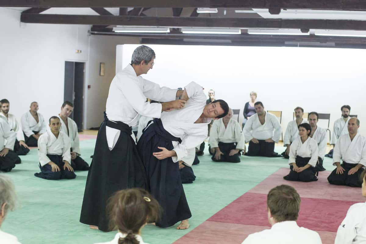 EDC-Aikido-Lyonnais-2014-11-Ecole-Des-Cadres-Formation-continue-14