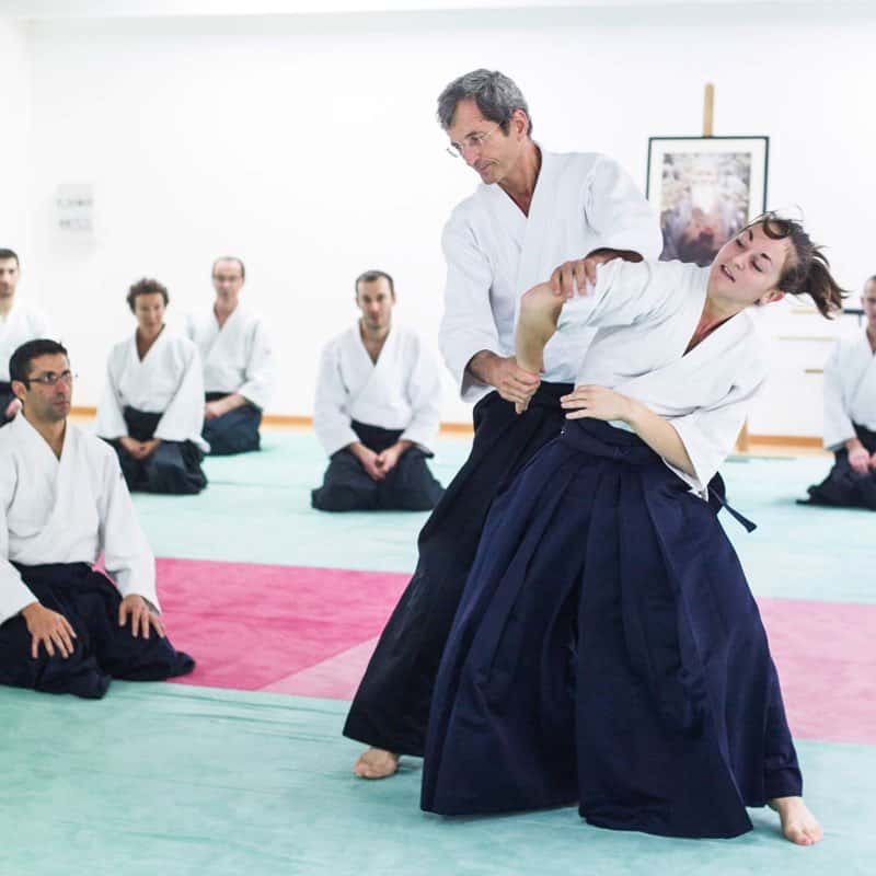 EDC-Aikido-Lyonnais-2014-11-Ecole-Des-Cadres-Formation-continue-15