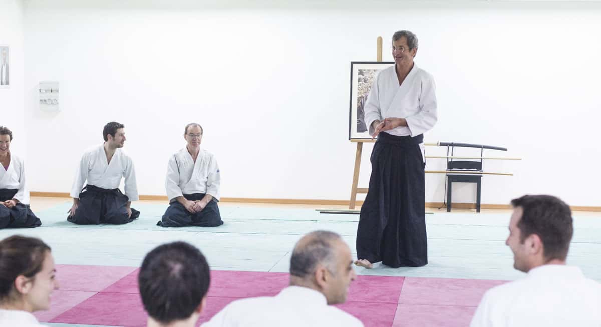 EDC-Aikido-Lyonnais-2014-11-Ecole-Des-Cadres-Formation-continue-16