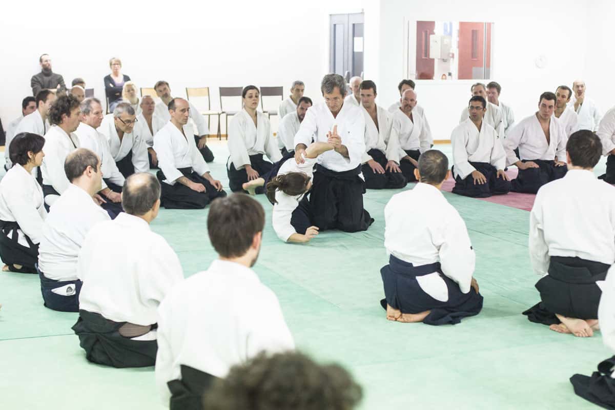 EDC-Aikido-Lyonnais-2014-11-Ecole-Des-Cadres-Formation-continue-17