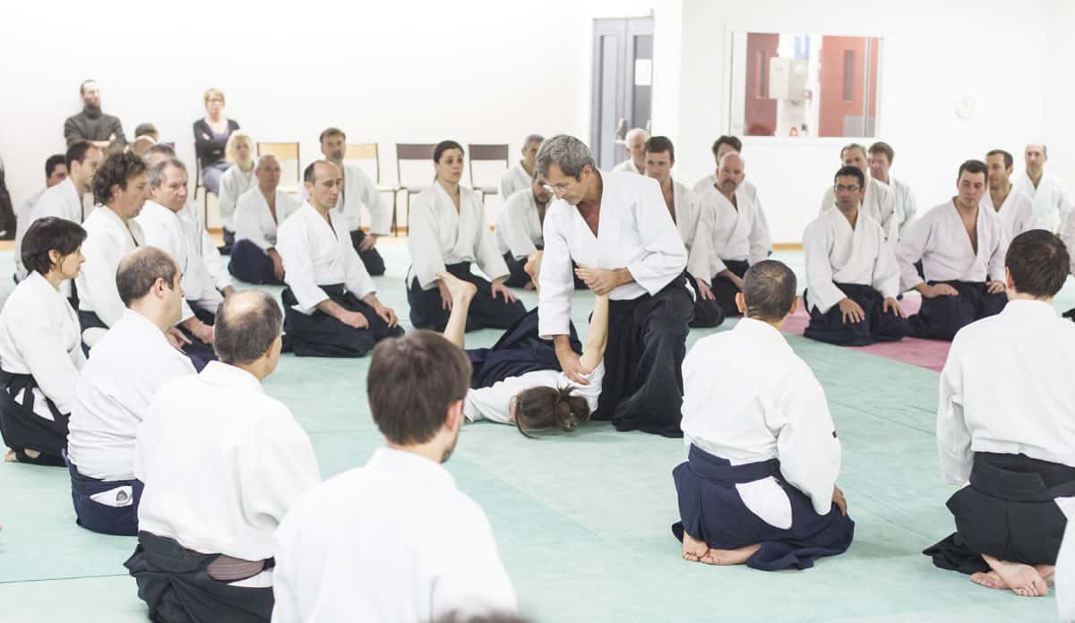 EDC-Aikido-Lyonnais-2014-11-Ecole-Des-Cadres-Formation-continue-18