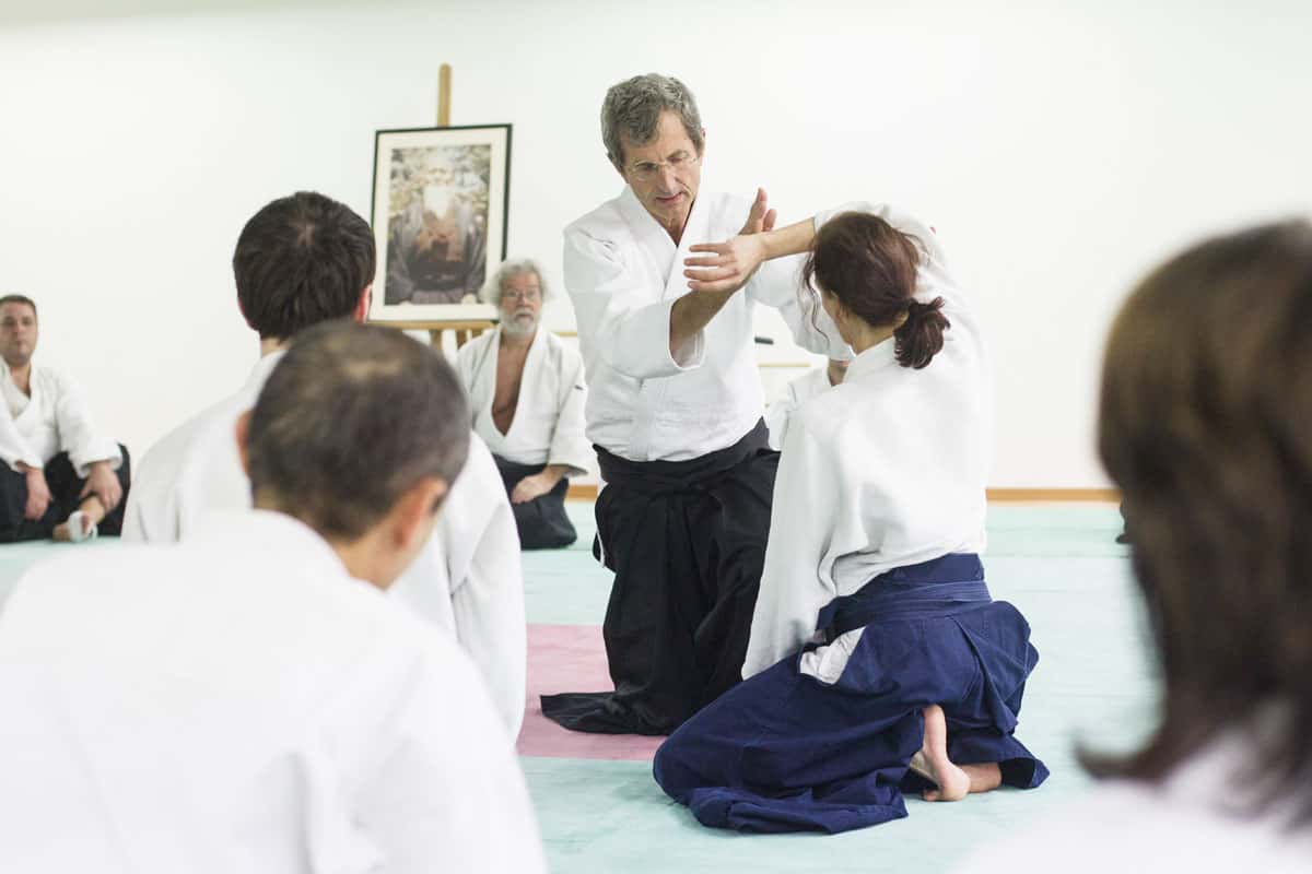 EDC-Aikido-Lyonnais-2014-11-Ecole-Des-Cadres-Formation-continue-19