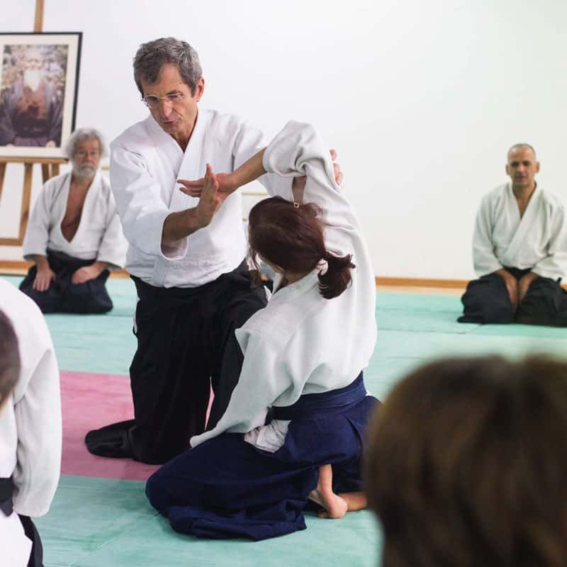 EDC-Aikido-Lyonnais-2014-11-Ecole-Des-Cadres-Formation-continue-20