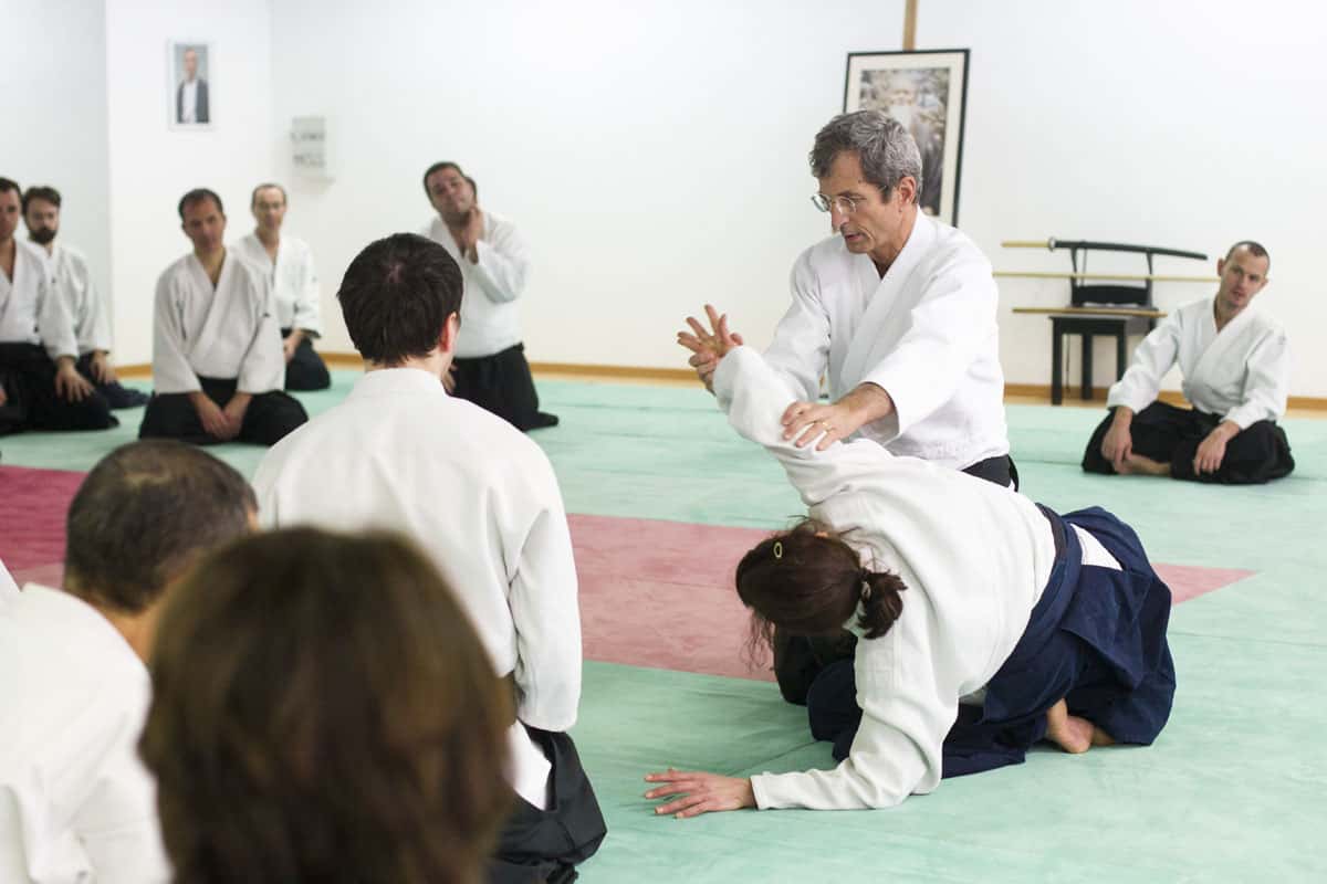 EDC-Aikido-Lyonnais-2014-11-Ecole-Des-Cadres-Formation-continue-21