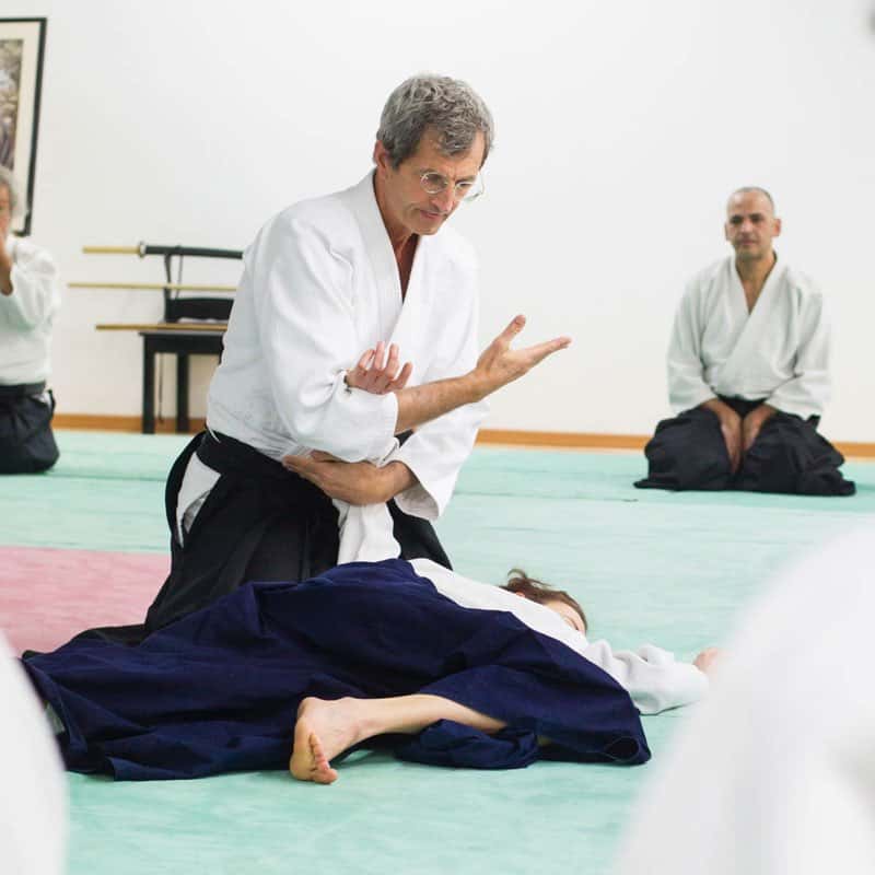 EDC-Aikido-Lyonnais-2014-11-Ecole-Des-Cadres-Formation-continue-22