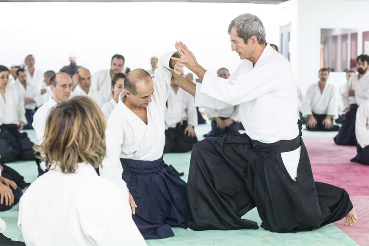 EDC-Aikido-Lyonnais-2014-11-Ecole-Des-Cadres-Formation-continue-23