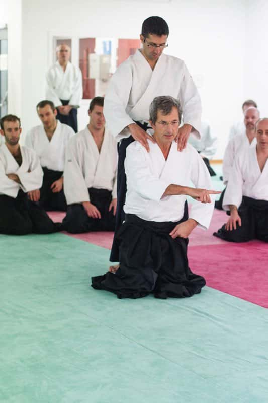 EDC-Aikido-Lyonnais-2014-11-Ecole-Des-Cadres-Formation-continue-24
