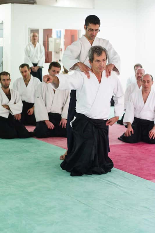 EDC-Aikido-Lyonnais-2014-11-Ecole-Des-Cadres-Formation-continue-25