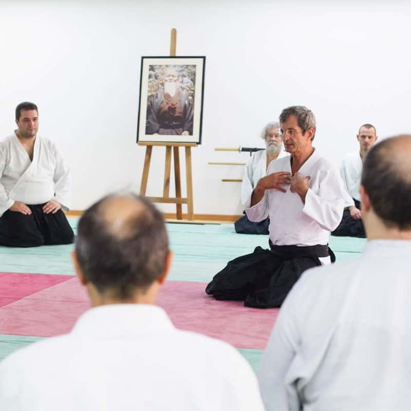 EDC-Aikido-Lyonnais-2014-11-Ecole-Des-Cadres-Formation-continue-26