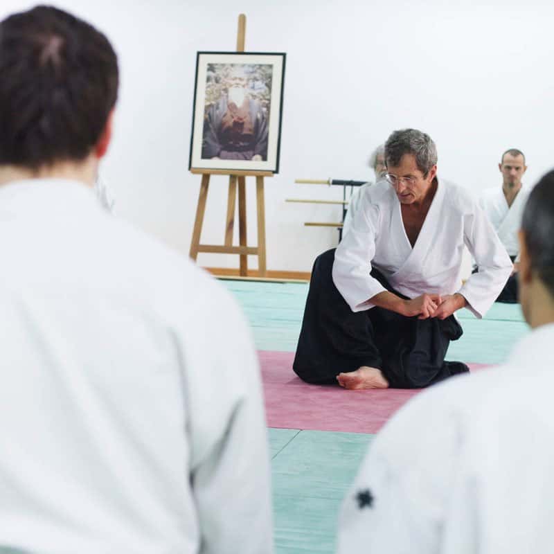 EDC-Aikido-Lyonnais-2014-11-Ecole-Des-Cadres-Formation-continue-27
